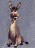 ck-832_big.jpg