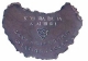 ck-1036_thb.jpg ck-1036_thb.jpg